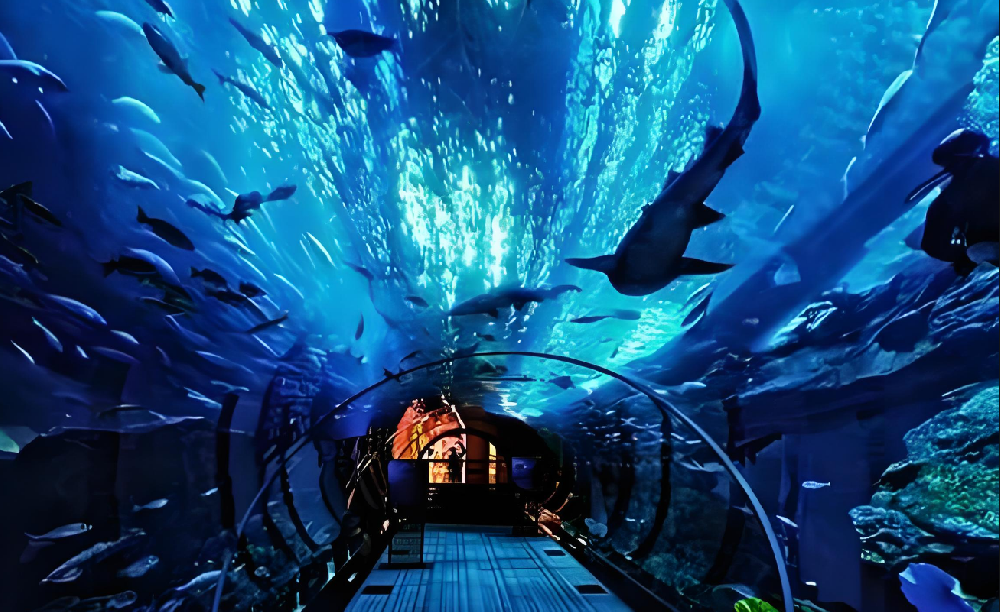 開封東京極地海洋館臭氧維生項(xiàng)目